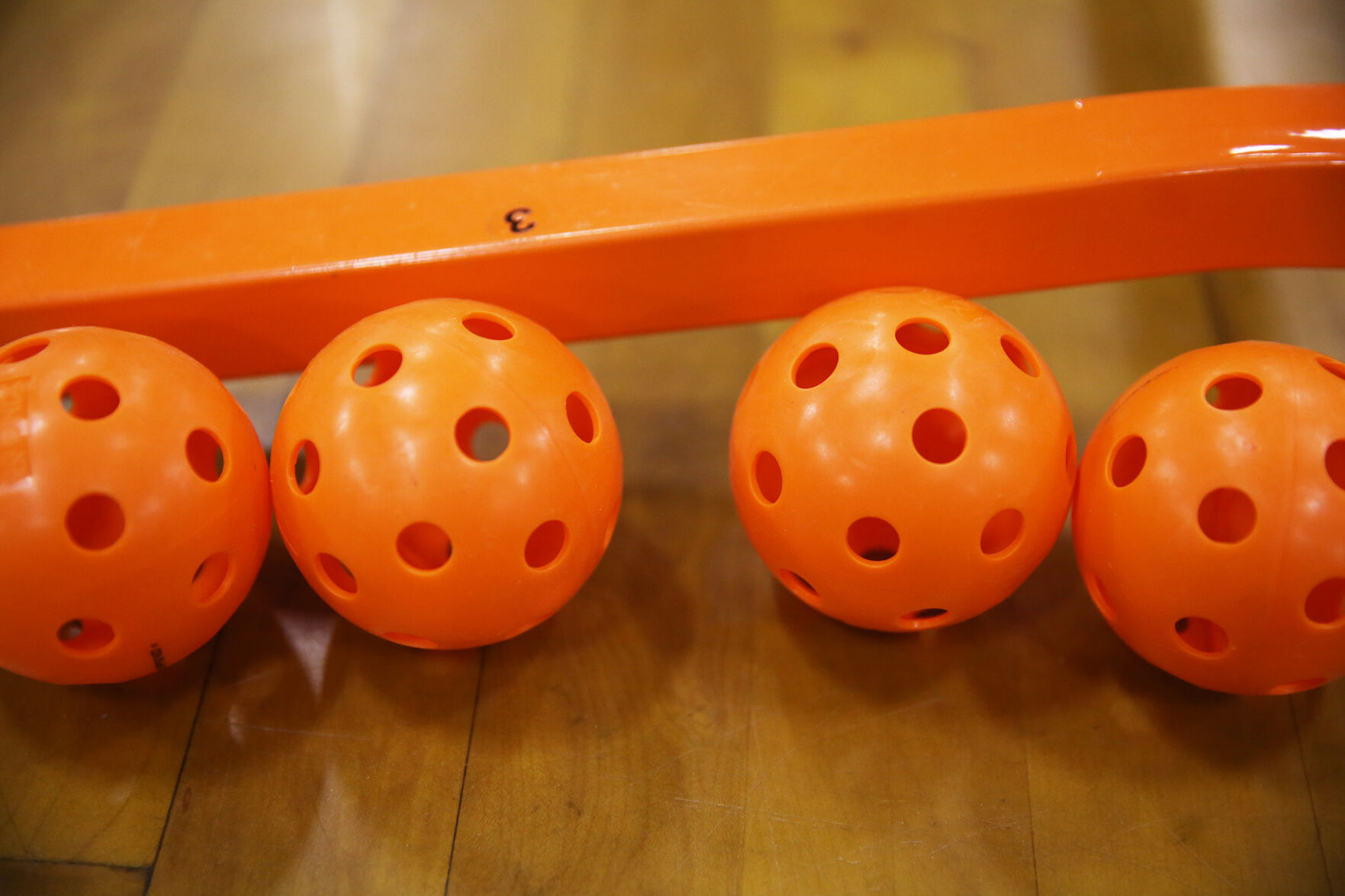 The pickleball club of Buffalo joins together several days